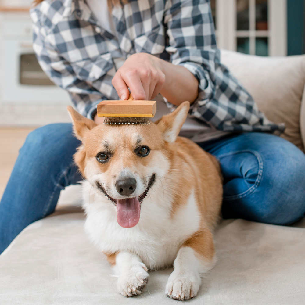 Grooming Supplies
