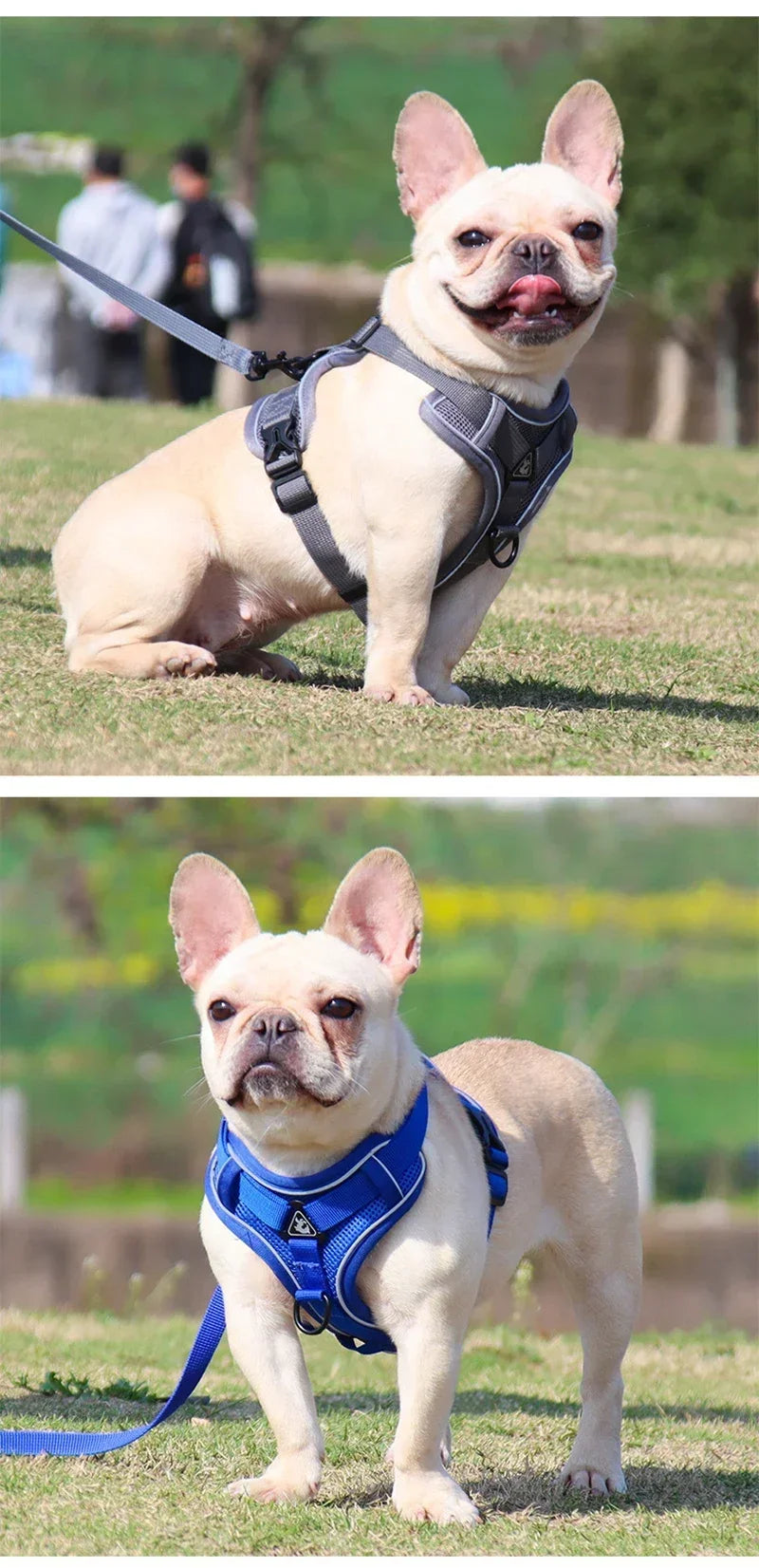 No Pull Dog Harness and Leash Set Adjustable Pet Harness Vest For Small Dogs Cats Reflective Mesh Dog Chest Strap French Bulldog