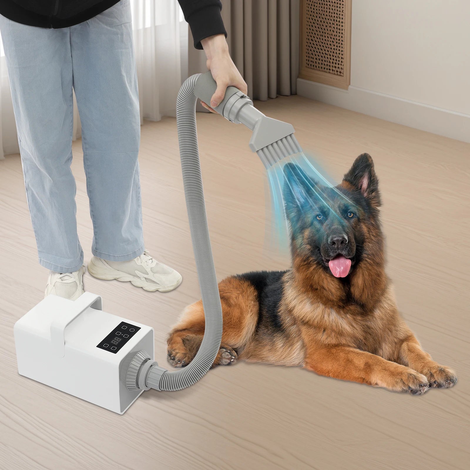 1900W Modern Dog Pet Grooming Hair Dryer Professional Pet Dryer Portable Pet Pet Hair Dryer