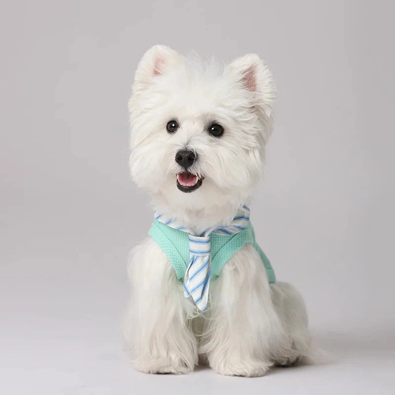 Teddy Dog Tank Top Thin Summer Clothes Pet Dog Jacket Overalls Small Dog Pet Clothing Coat Puppy Clothes for Small Dogs