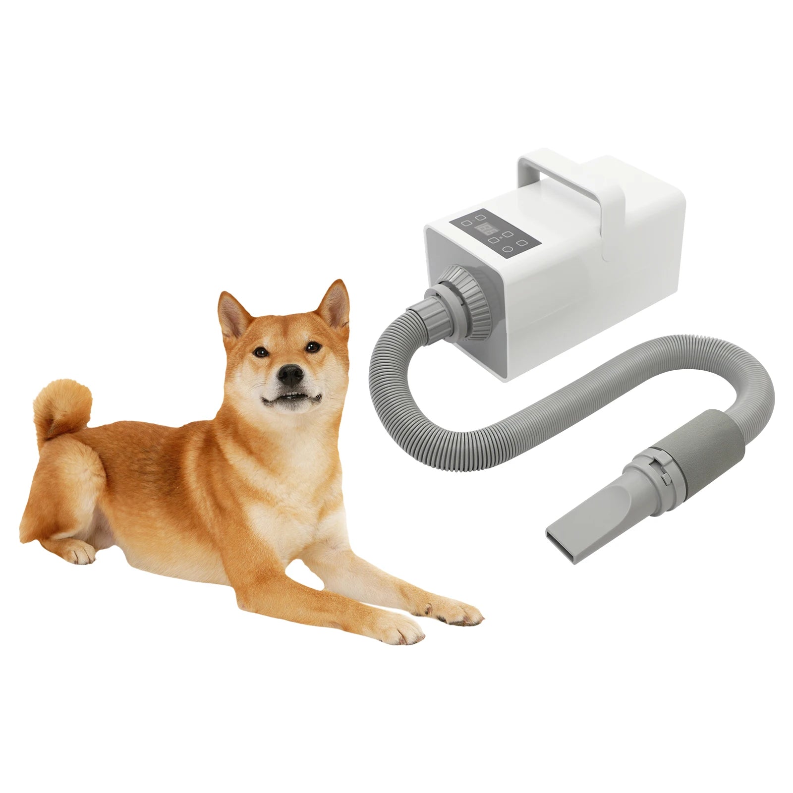 1900W Modern Dog Pet Grooming Hair Dryer Professional Pet Dryer Portable Pet Pet Hair Dryer