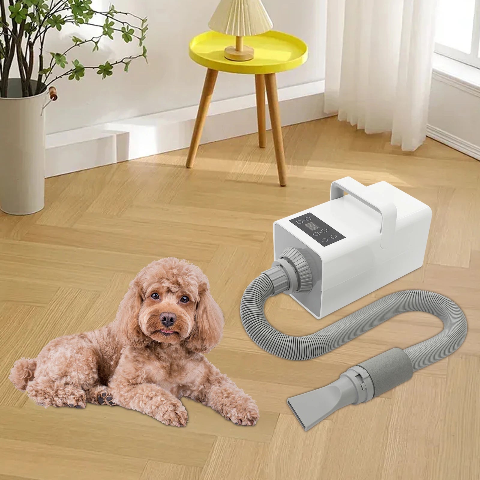 1900W Modern Dog Pet Grooming Hair Dryer Professional Pet Dryer Portable Pet Pet Hair Dryer