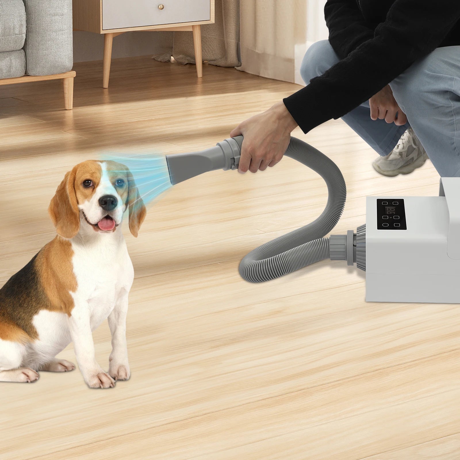 1900W Modern Dog Pet Grooming Hair Dryer Professional Pet Dryer Portable Pet Pet Hair Dryer