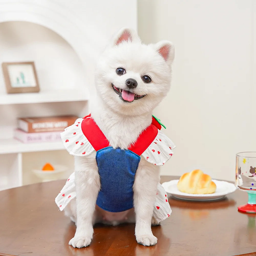 Cute Heart Print Dog Harness Dress with Leash Denim Puppy Princess Skirt Cute Cat Harness Pet Outdoor Walking Rope Dog Clothes