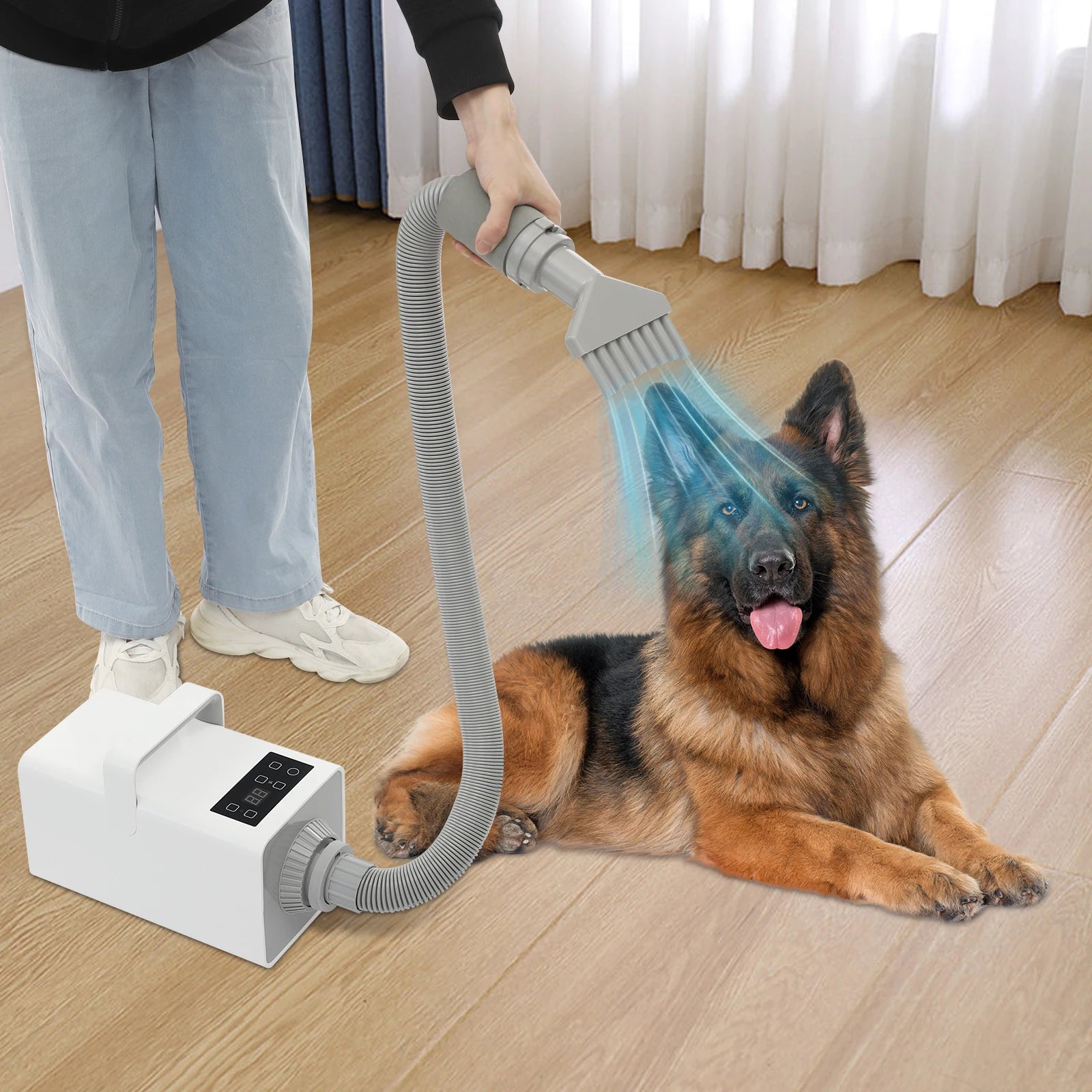 1900W Modern Dog Pet Grooming Hair Dryer Professional Pet Dryer Portable Pet Pet Hair Dryer