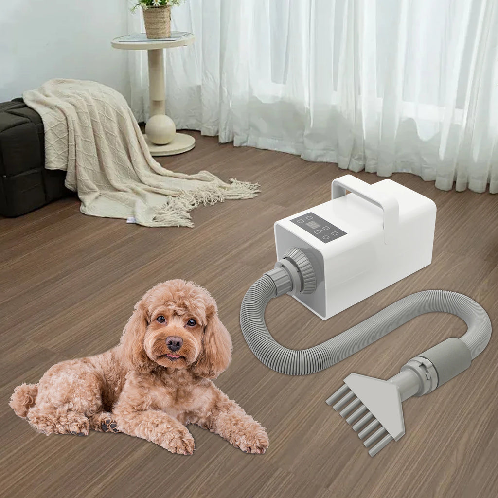 1900W Modern Dog Pet Grooming Hair Dryer Professional Pet Dryer Portable Pet Pet Hair Dryer