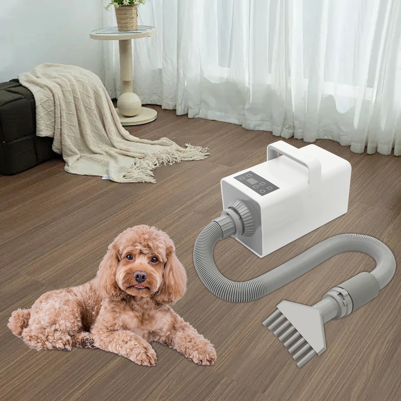 1900W Modern Dog Pet Grooming Hair Dryer Professional Pet Dryer Portable Pet Pet Hair Dryer