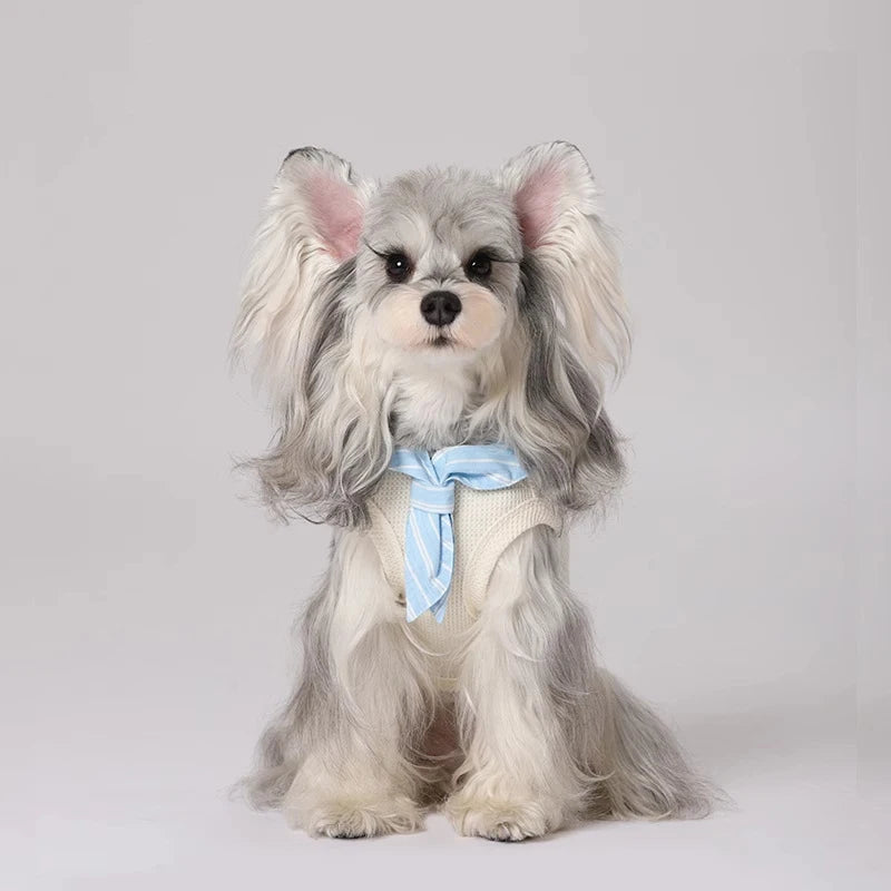 Teddy Dog Tank Top Thin Summer Clothes Pet Dog Jacket Overalls Small Dog Pet Clothing Coat Puppy Clothes for Small Dogs