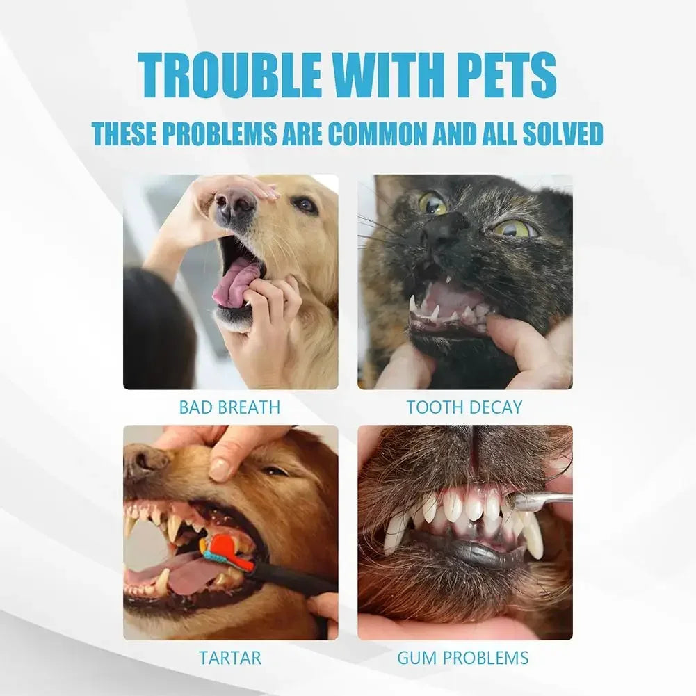 Pet Toothpaste Cat Dog Fresh Breath Toothpaste Dog Edible Cleaning Oral Plaque Tartar Pet Toothpaste Care Products Deod R6E6