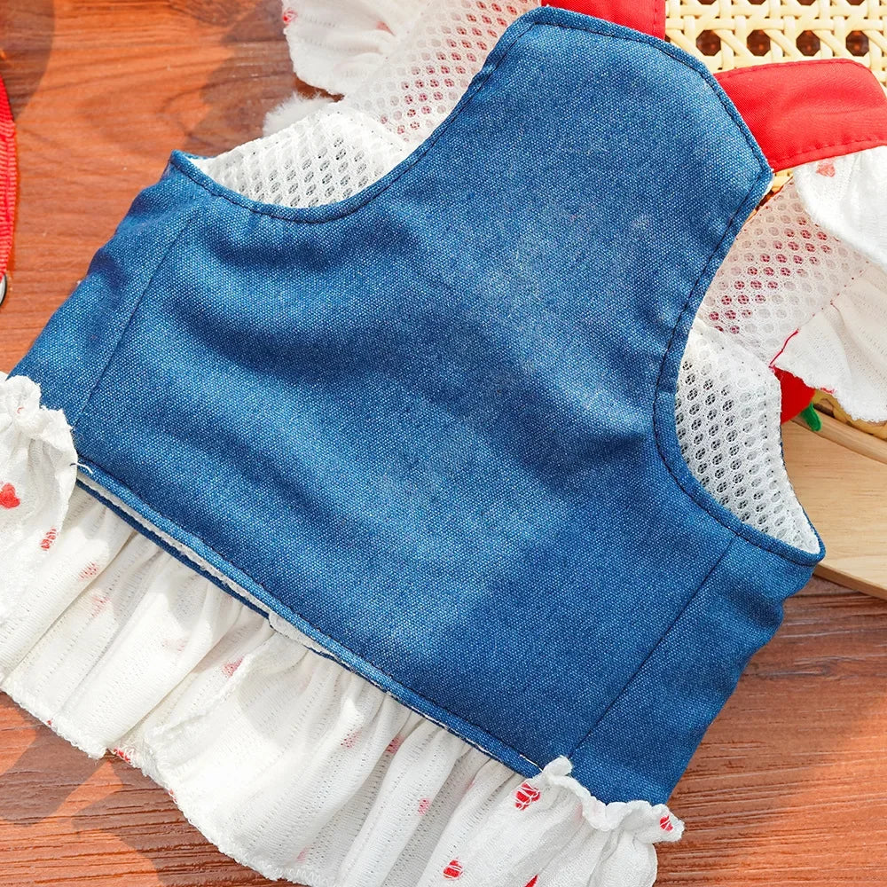 Cute Heart Print Dog Harness Dress with Leash Denim Puppy Princess Skirt Cute Cat Harness Pet Outdoor Walking Rope Dog Clothes