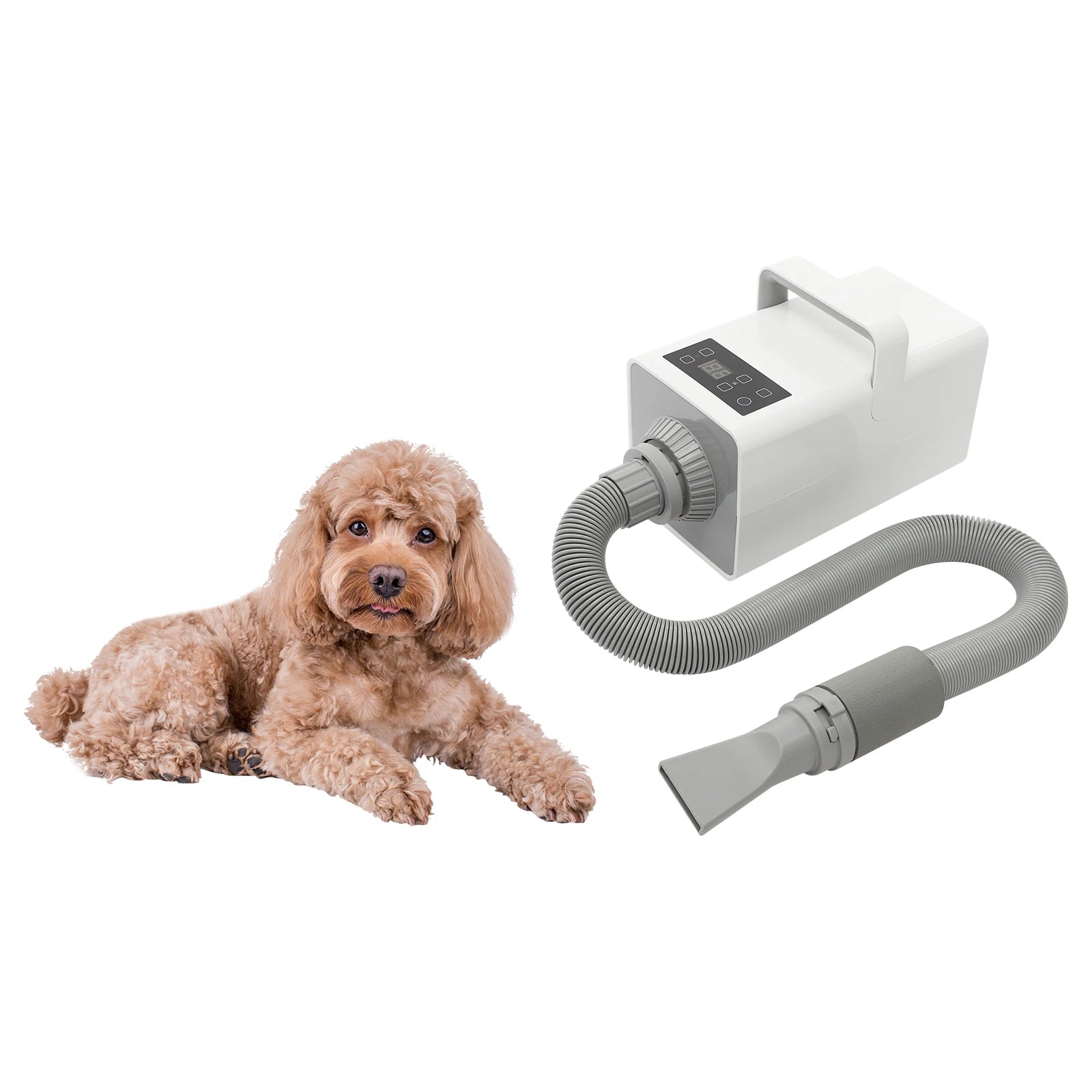 1900W Modern Dog Pet Grooming Hair Dryer Professional Pet Dryer Portable Pet Pet Hair Dryer