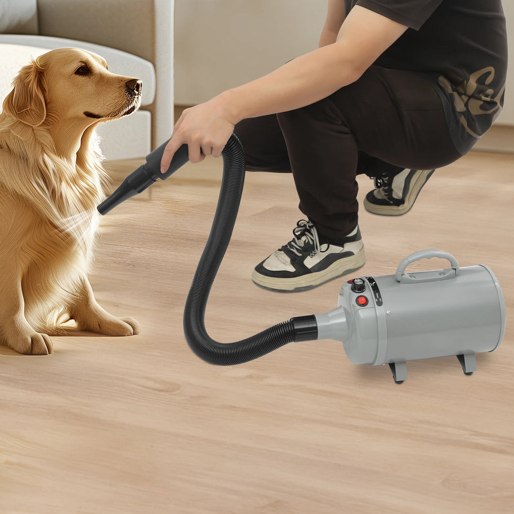2200W Pet Hair Dryer,Adjustable Wind Speed,Black/Green/Blue/Gray Electric Dog Cat Hair Dryer,Pet Drying Machine with 4 Nozzles
