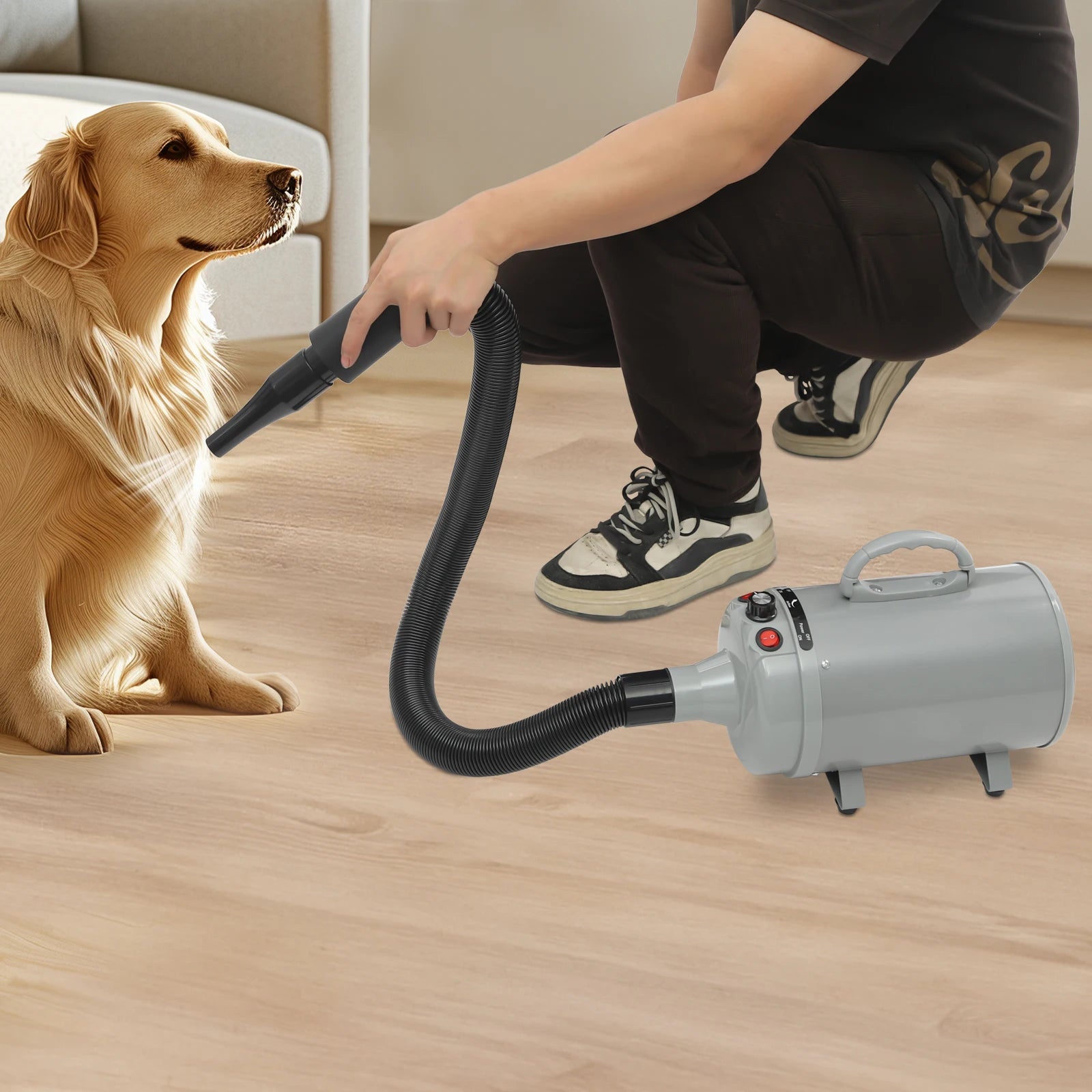 2200W Pet Hair Dryer,Adjustable Wind Speed,Black/Green/Blue/Gray Electric Dog Cat Hair Dryer,Pet Drying Machine with 4 Nozzles