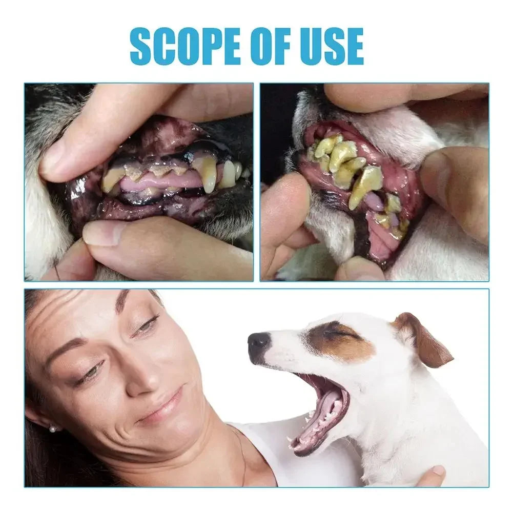 Pet Toothpaste Cat Dog Fresh Breath Toothpaste Dog Edible Cleaning Oral Plaque Tartar Pet Toothpaste Care Products Deod R6E6